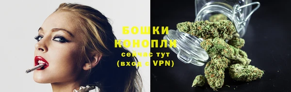apvp Пересвет