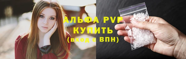 apvp Пересвет
