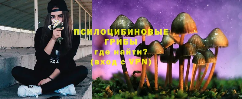 что такое наркотик  Ясногорск  Галлюциногенные грибы Cubensis 